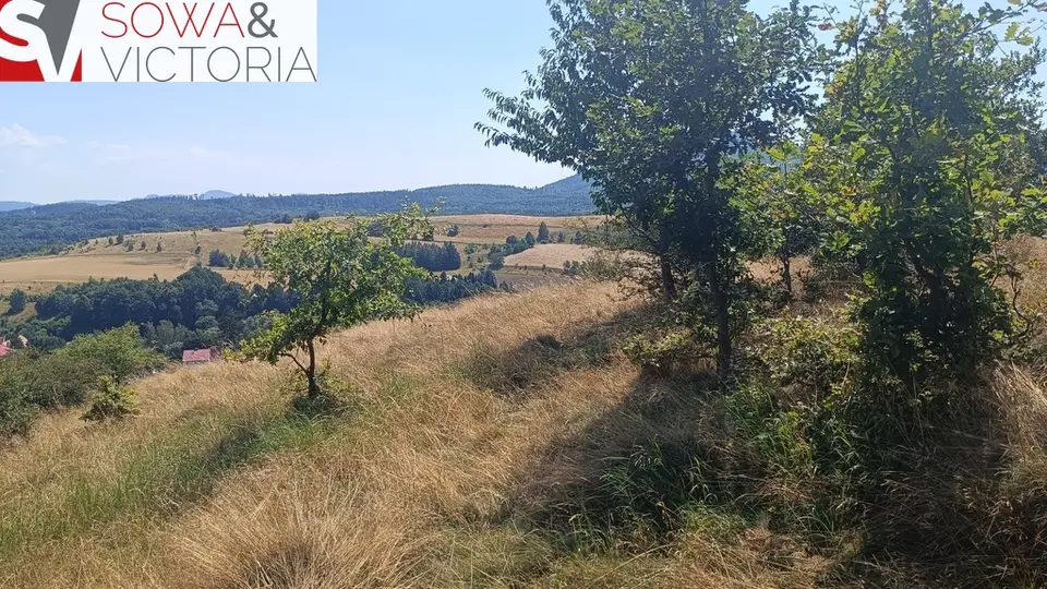 Zdjęcie 10