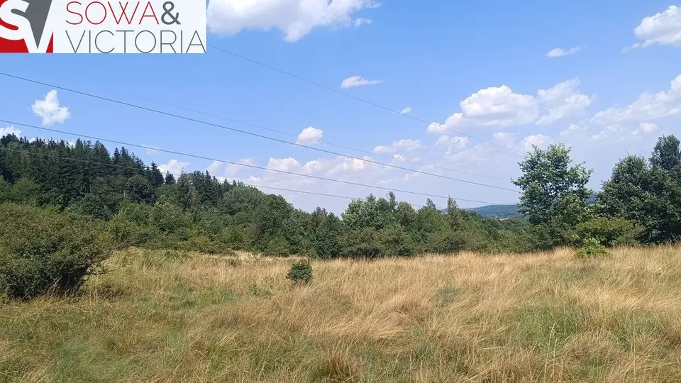 Zdjęcie 11