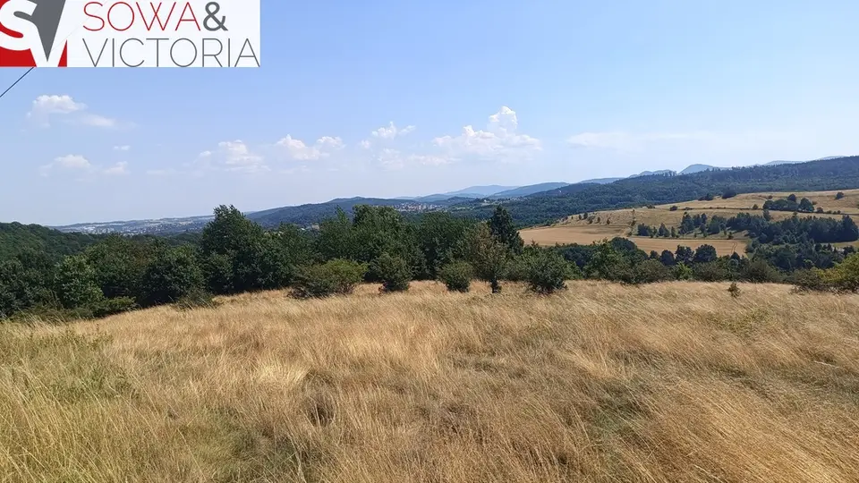 Zdjęcie 12