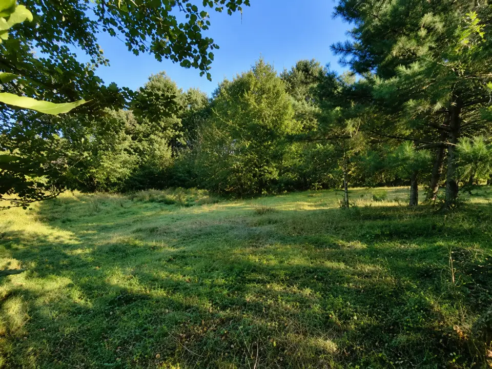 Działka rekreacyjna i inwestycyjna 2 300 m², Stefanów