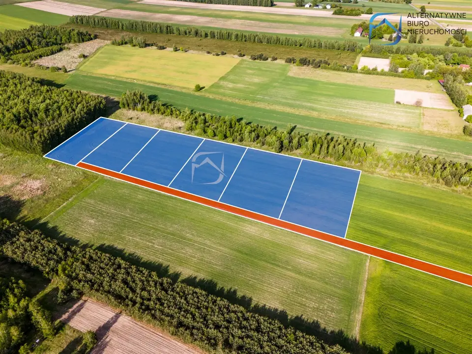 Zdjęcie 11