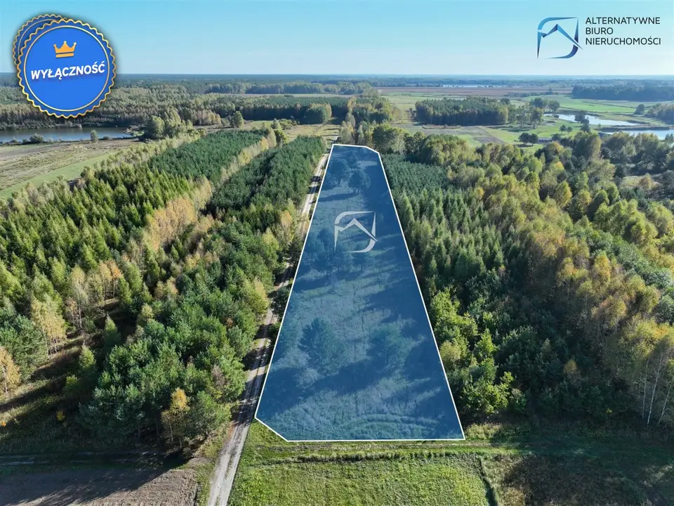 Działka rekreacyjna i rolna 9 000 m², Bójki