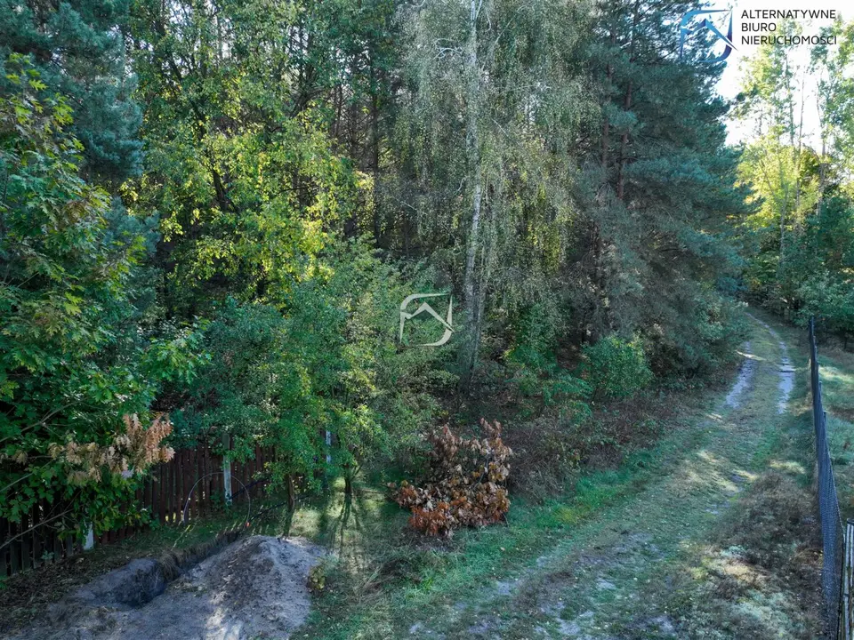 Zdjęcie 13