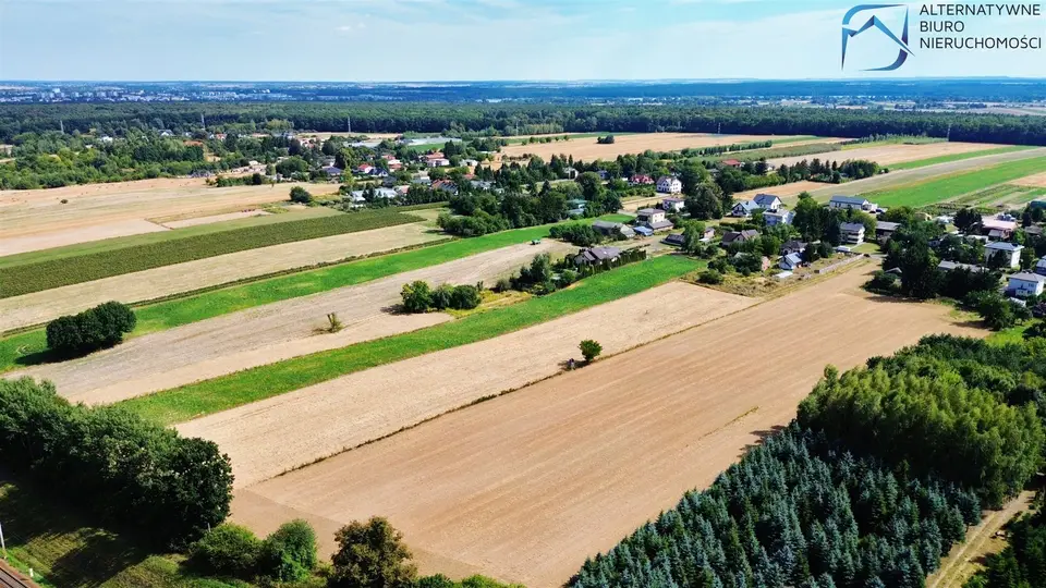 Zdjęcie 13