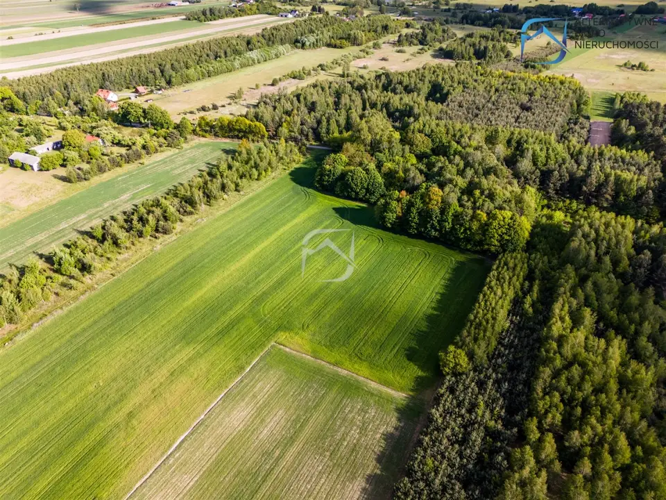 Zdjęcie 10