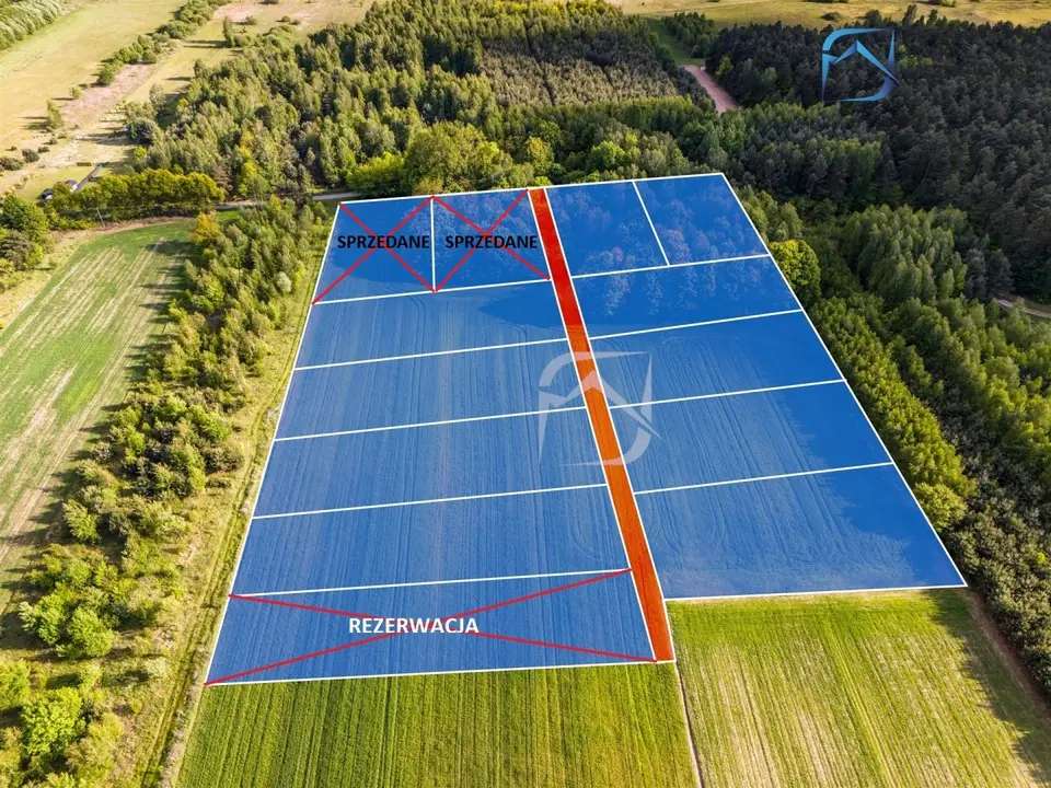 Zdjęcie 11