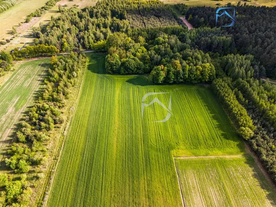 Zdjęcie 12