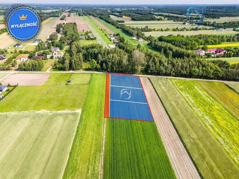 Działka budowlana 3 653 m², Krasienin-Kolonia
