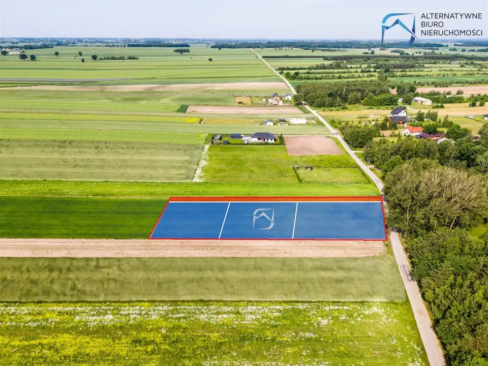 Zdjęcie 5
