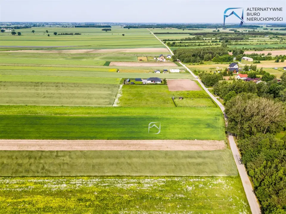Zdjęcie 6