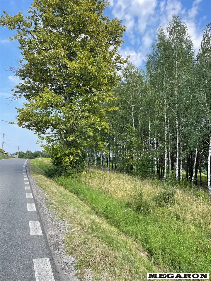 Działka rolna 3 906 m², Wancerzów