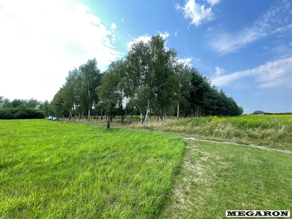 Zdjęcie 4