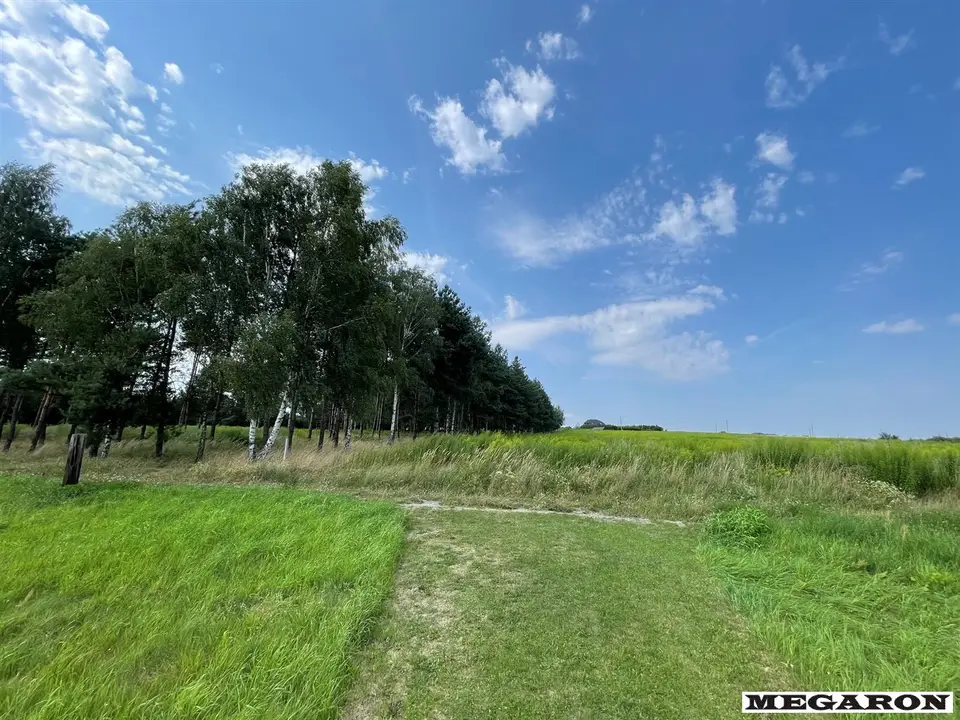 Zdjęcie 6