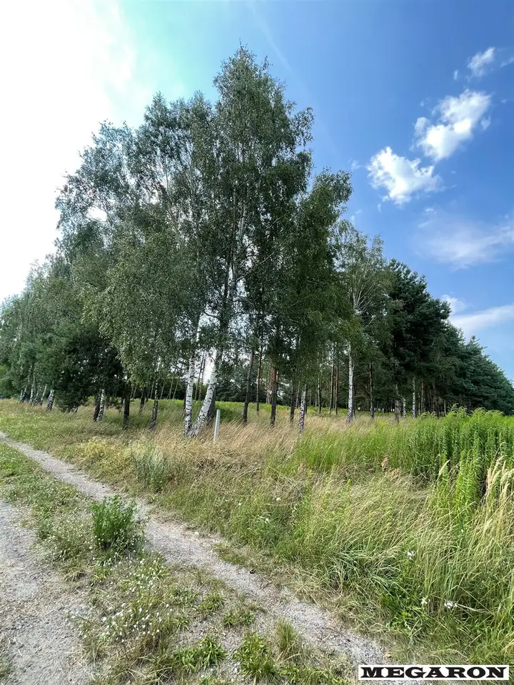 Zdjęcie 2