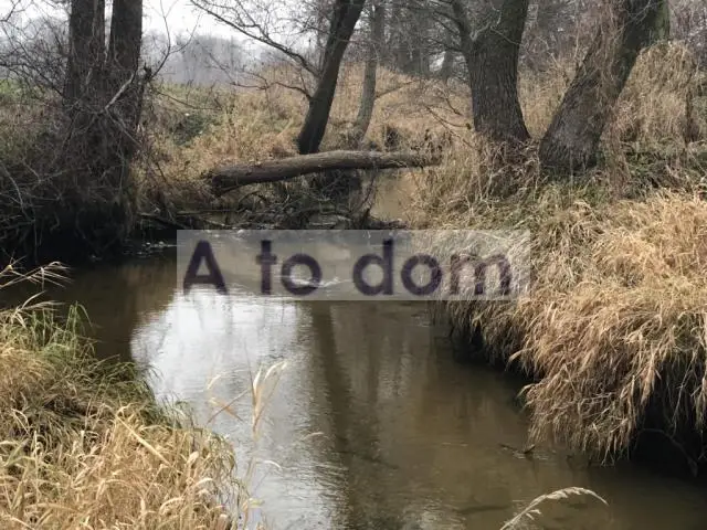 Zdjęcie 2