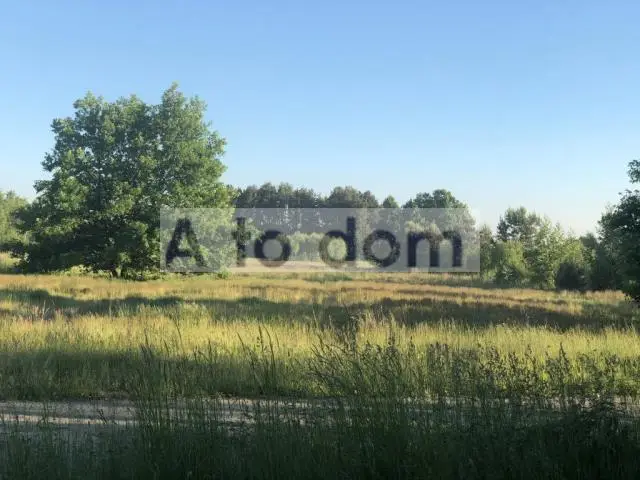 Zdjęcie 3