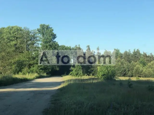 Zdjęcie 4