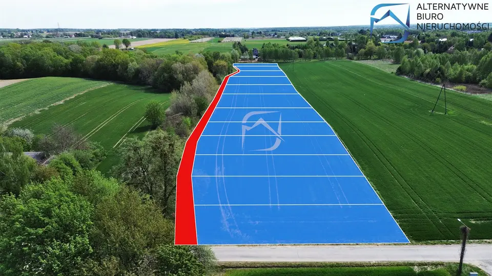 Zdjęcie 8