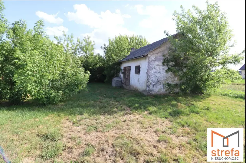 Zdjęcie 11