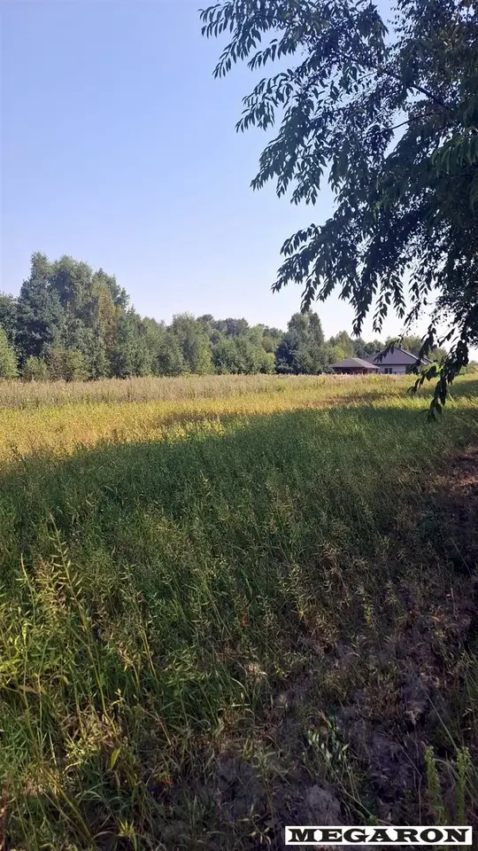 Zdjęcie 3