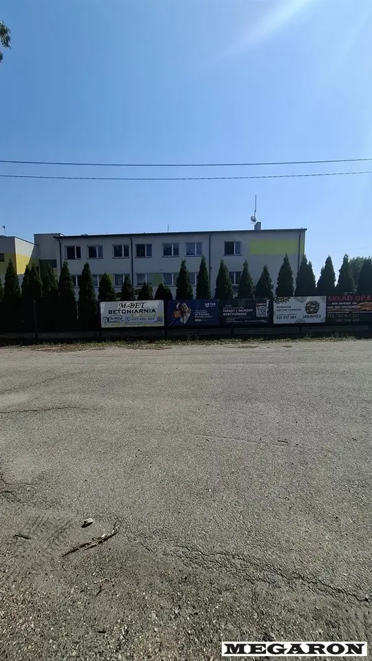 Zdjęcie 5