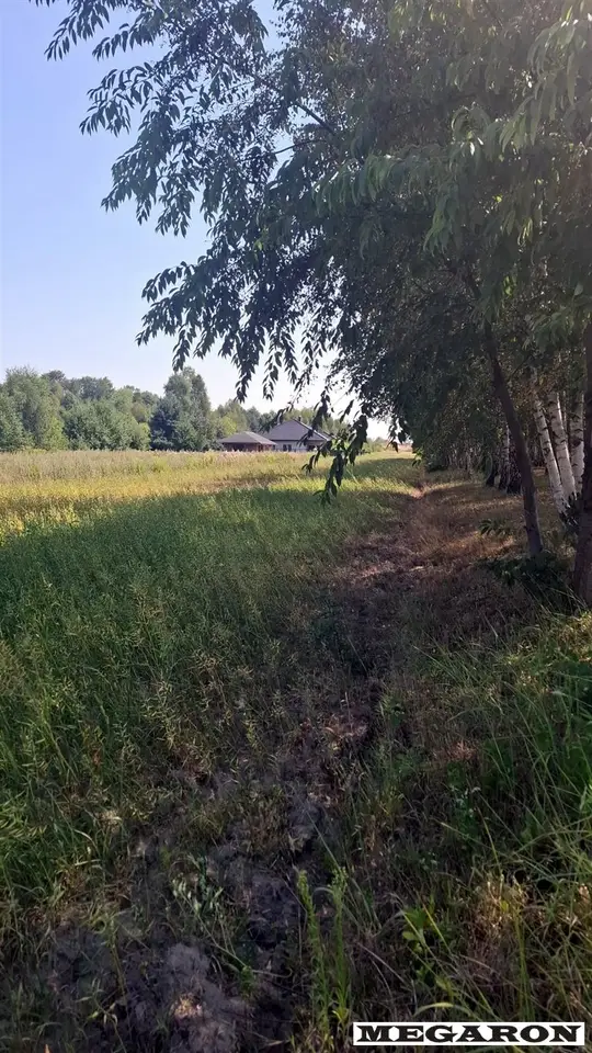 Zdjęcie 6