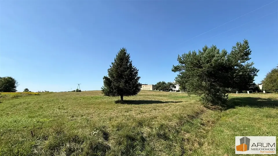 Zdjęcie 8