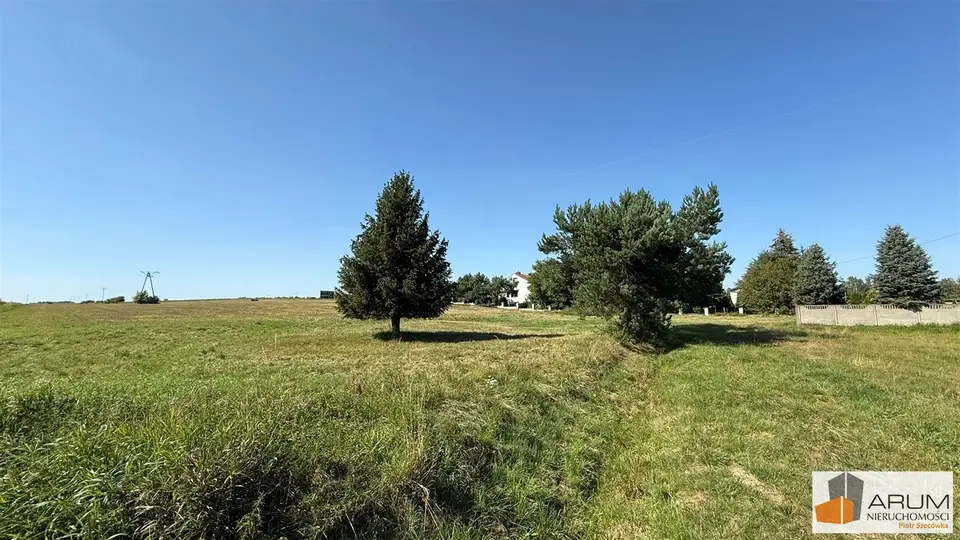 Zdjęcie 9