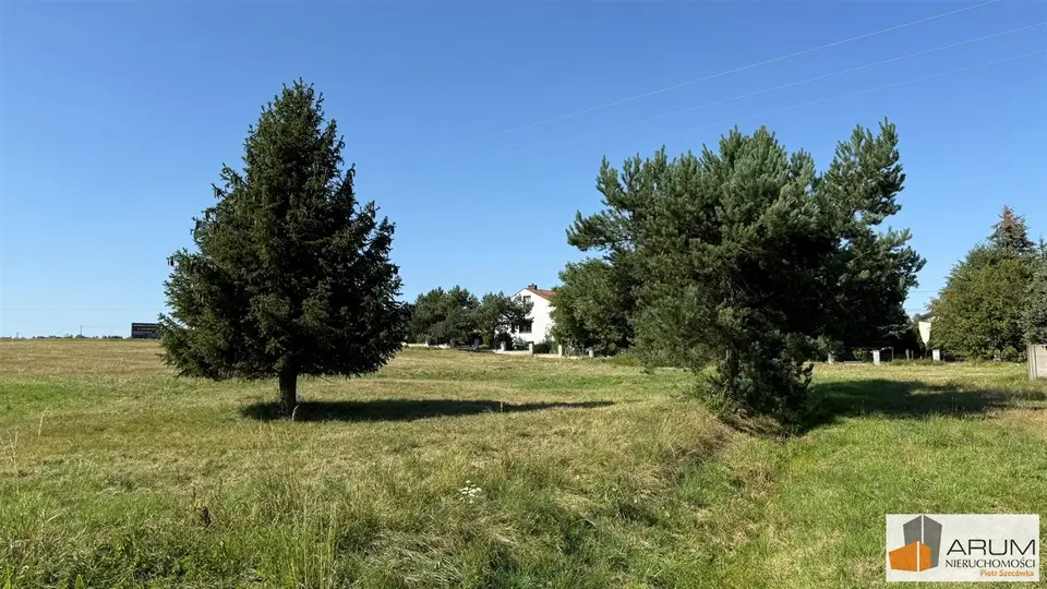Zdjęcie 10