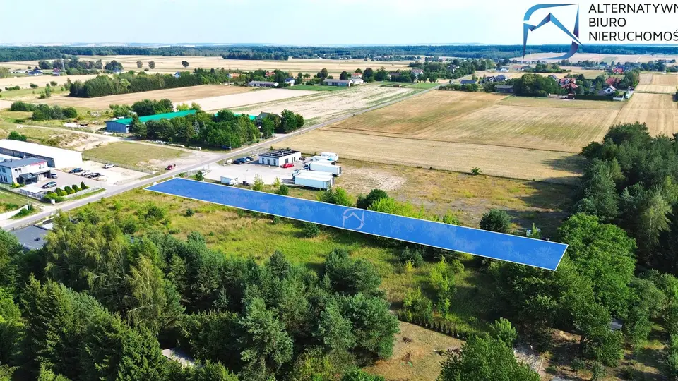 Zdjęcie 12
