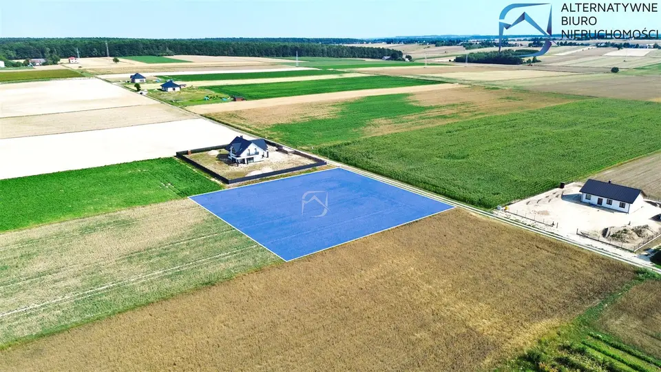 Zdjęcie 12