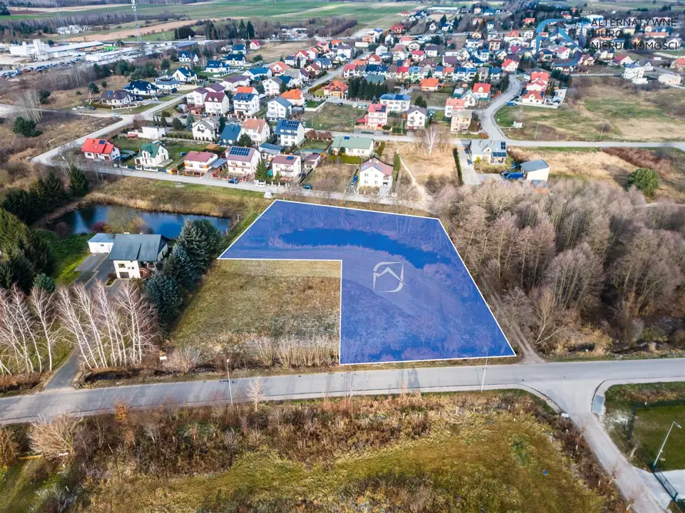 Zdjęcie 6