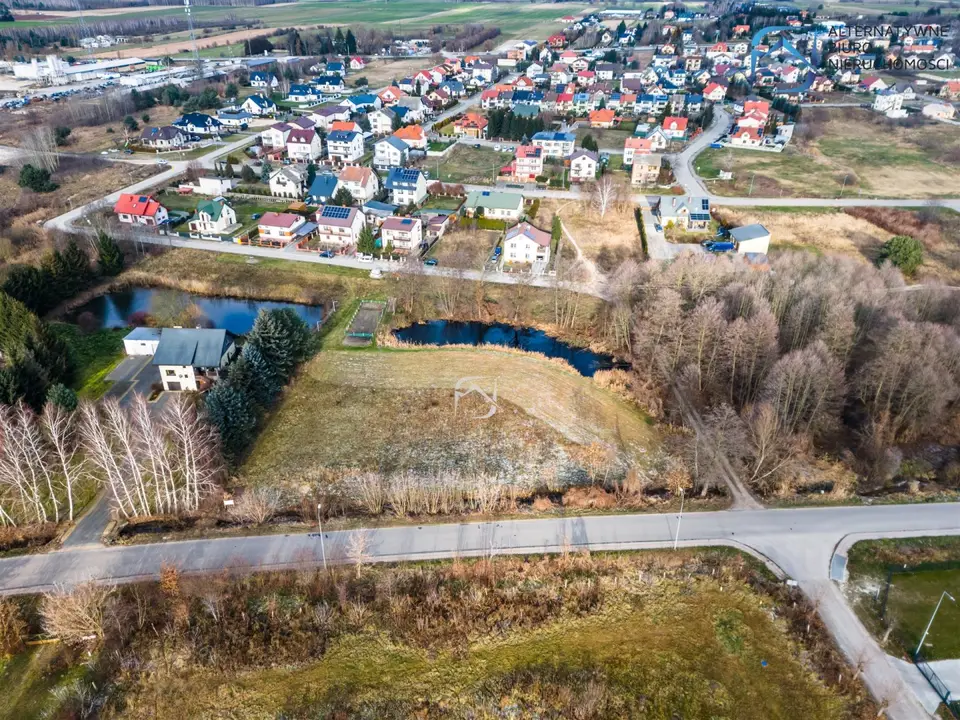 Zdjęcie 7
