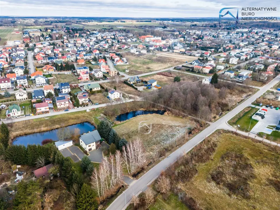 Zdjęcie 11