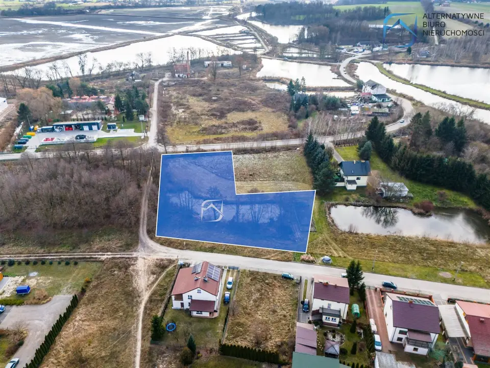 Zdjęcie 12