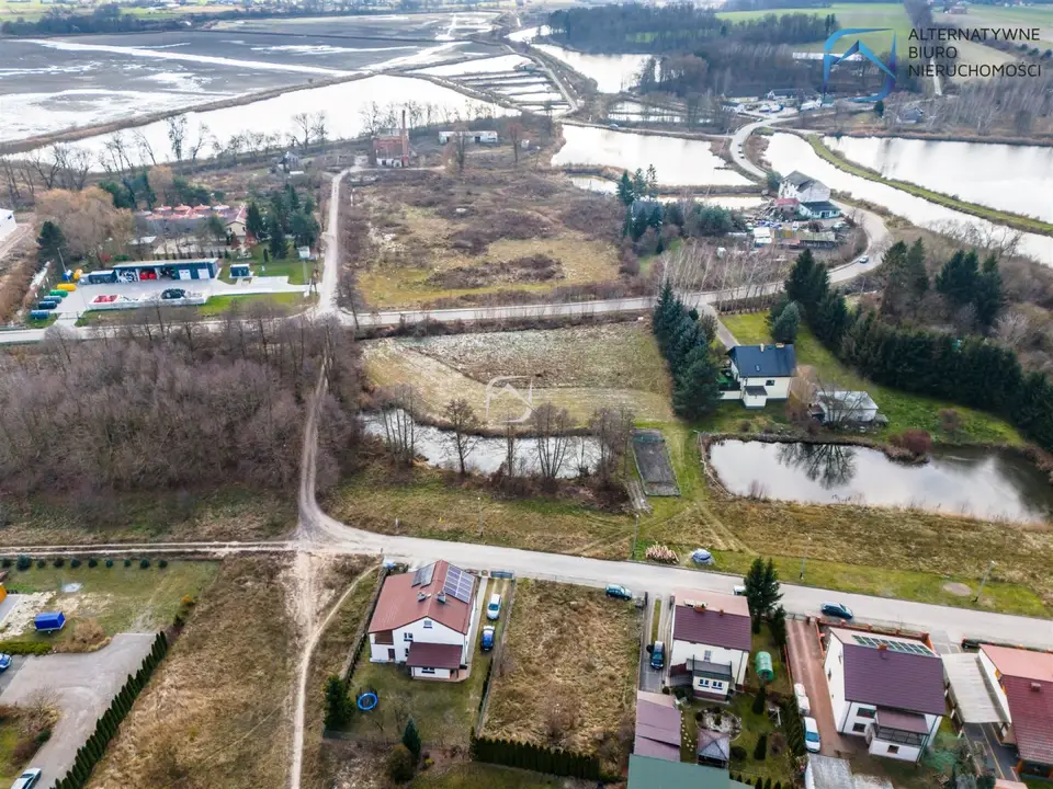 Zdjęcie 13
