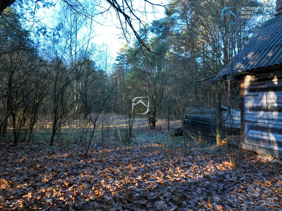 Zdjęcie 19