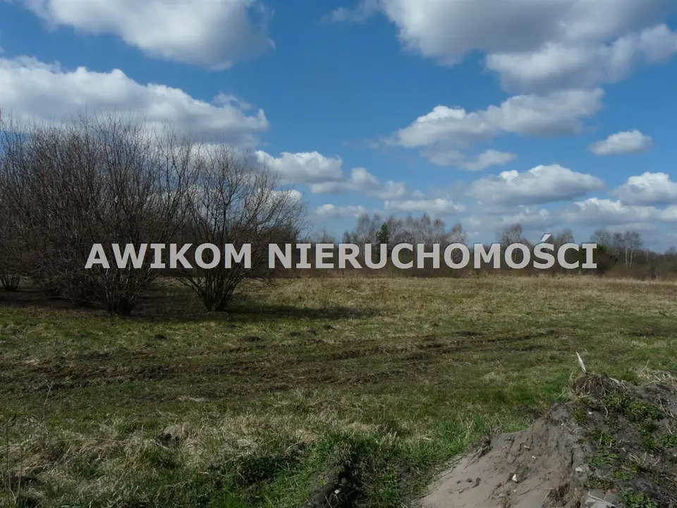 Zdjęcie 5
