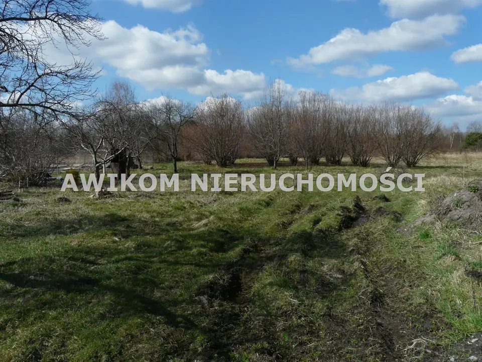 Zdjęcie 6