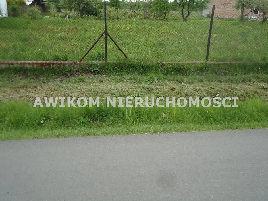 Zdjęcie 9