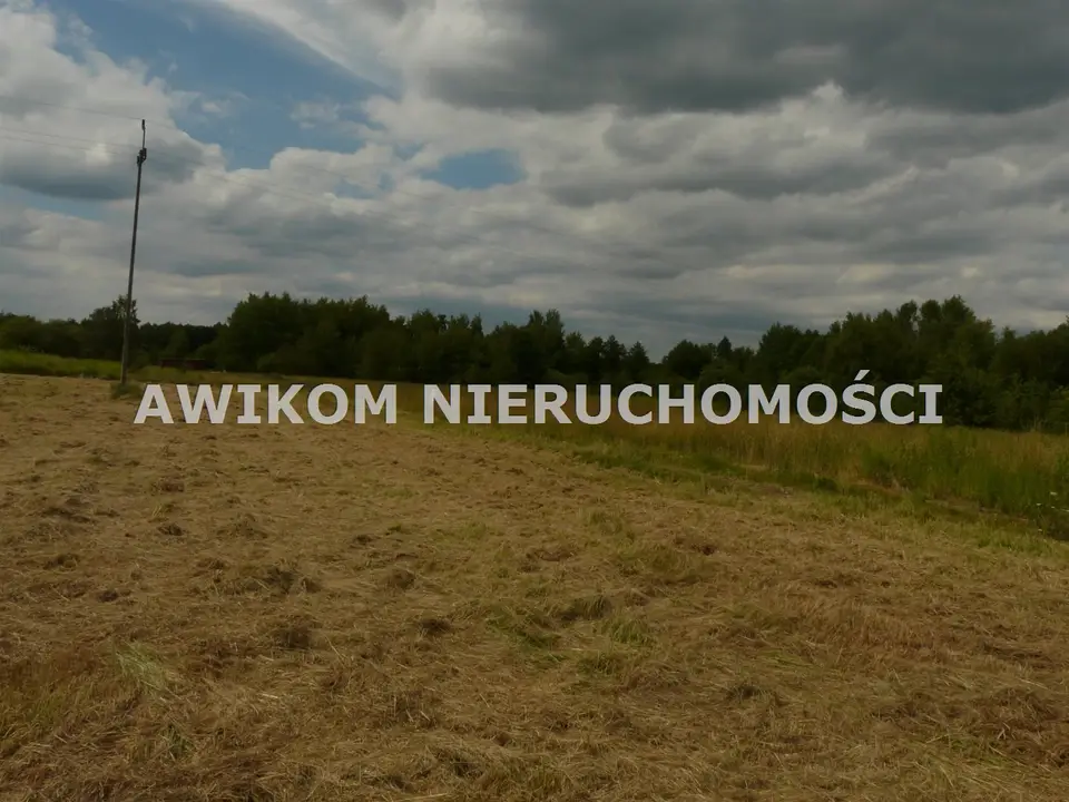 Zdjęcie 12