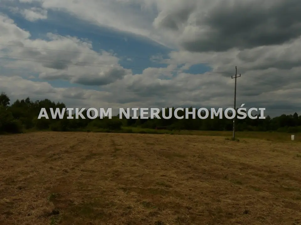 Zdjęcie 13