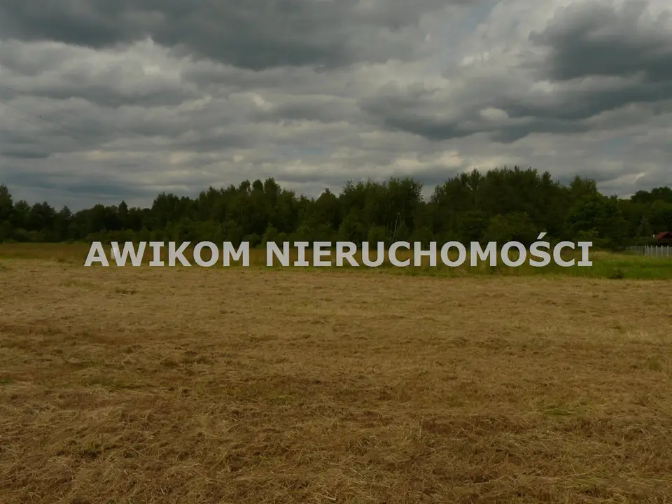 Zdjęcie 14
