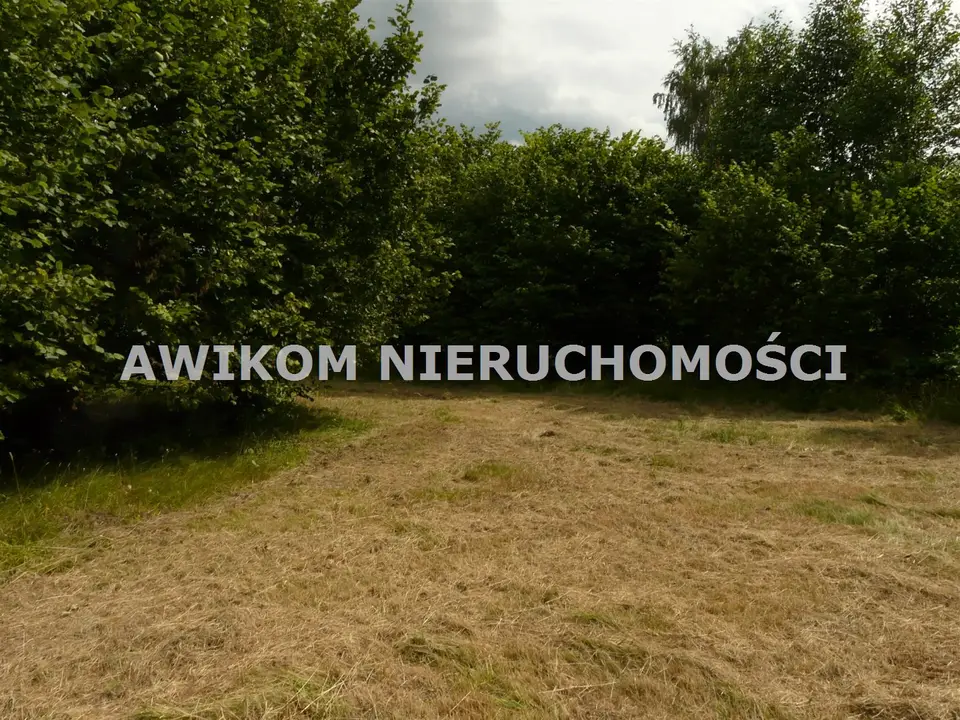 Zdjęcie 15