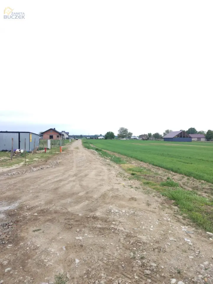 Zdjęcie 5