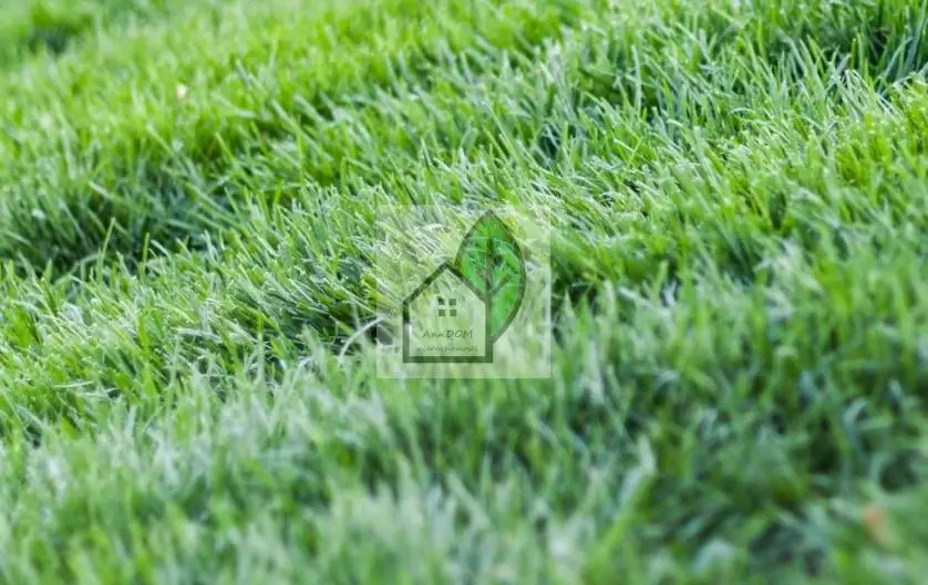 Zdjęcie 3