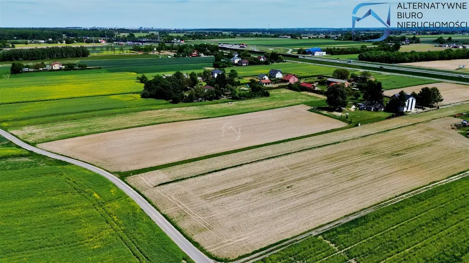 Zdjęcie 8