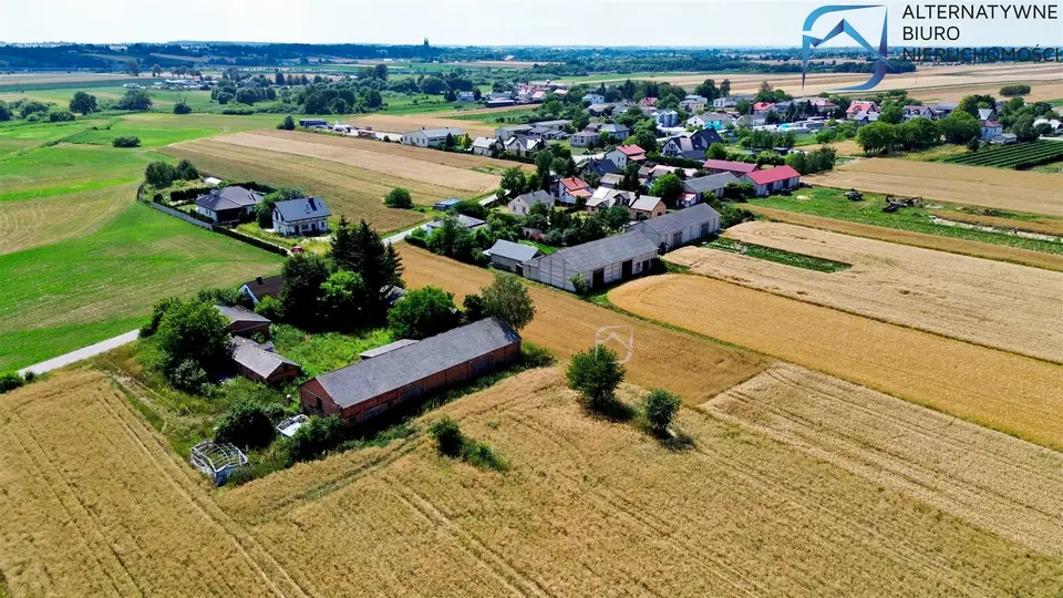Zdjęcie 10