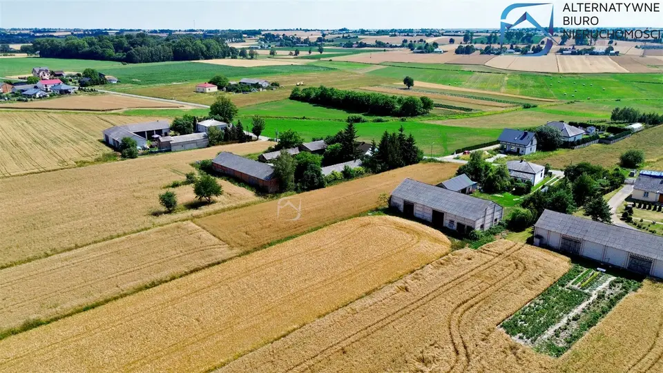 Zdjęcie 12
