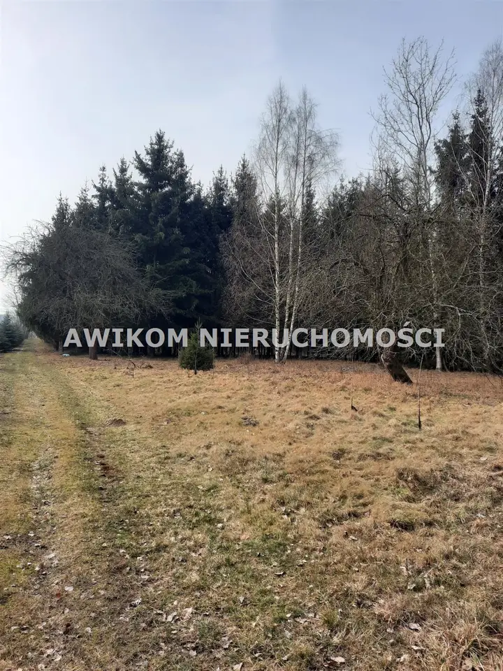 Zdjęcie 4